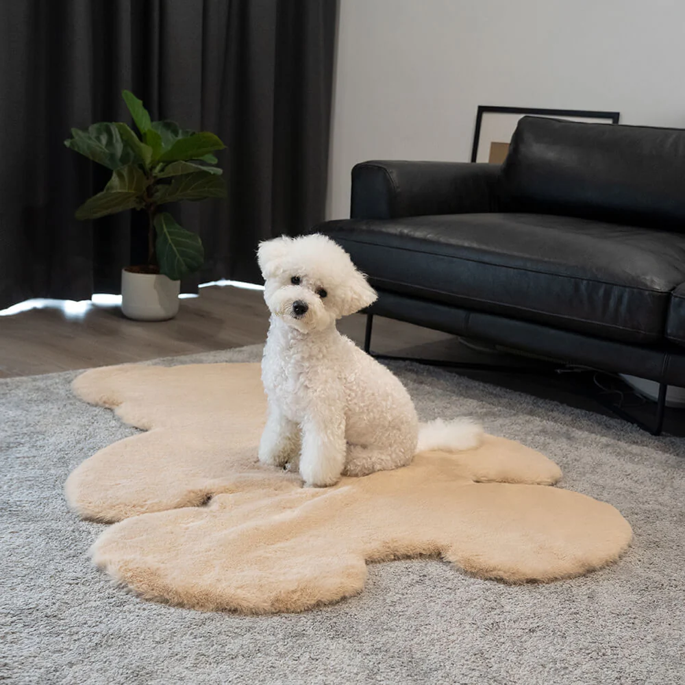 Teddy Bear Shaped Fluffy Large Pet Mat - News Pet Shop