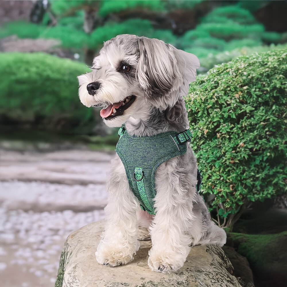 Eco-friendly Recycled Fabric No-Pull Dog Harness/Leash - News Pet Shop
