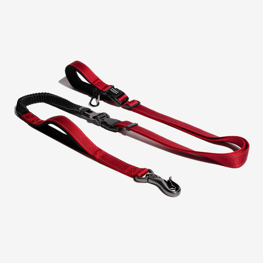 Multifunction Hands Free Dog Leash With Safety Seat Belt - News Pet Shop