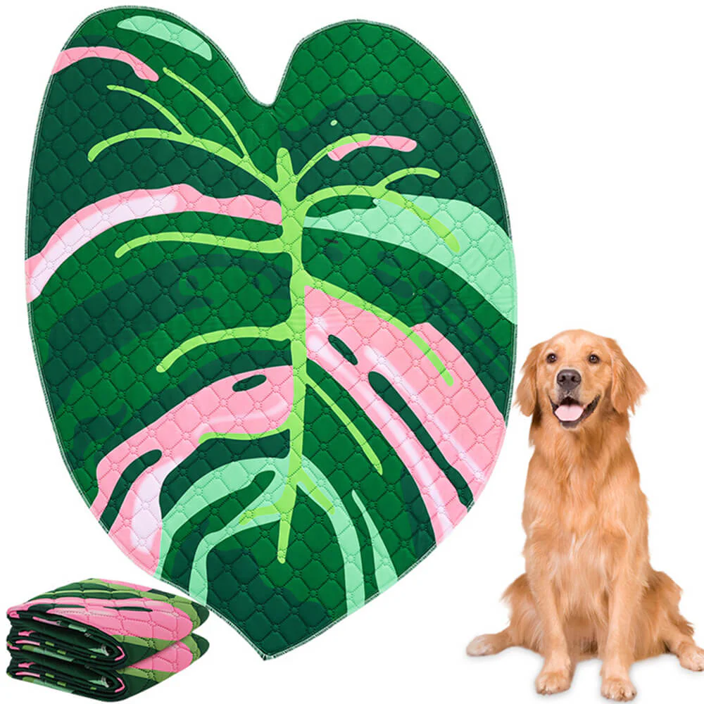 Reusable Absorbent Washable Non-Slip Dog Pee Pad - News Pet Shop