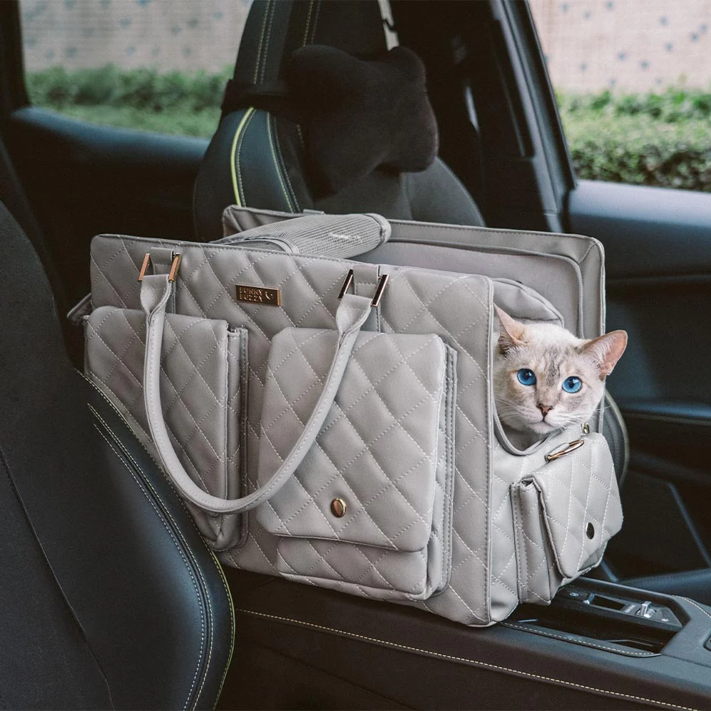Large Carrying Stylish Multi-Functional Human-Cat Shared Travel Cat Bag - Wandering Tail - News Pet Shop