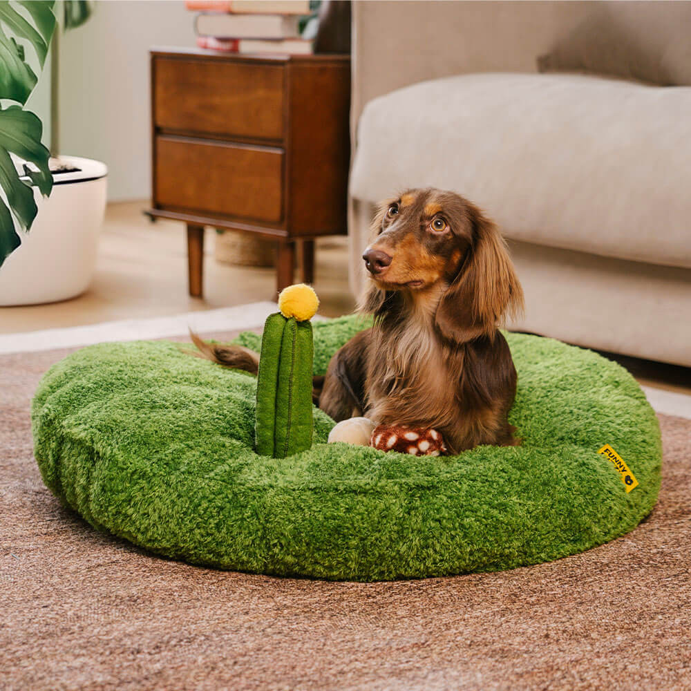 Jungle Explorer 2 in 1 Funny Plush Pet Bed - Nature Park - News Pet Shop