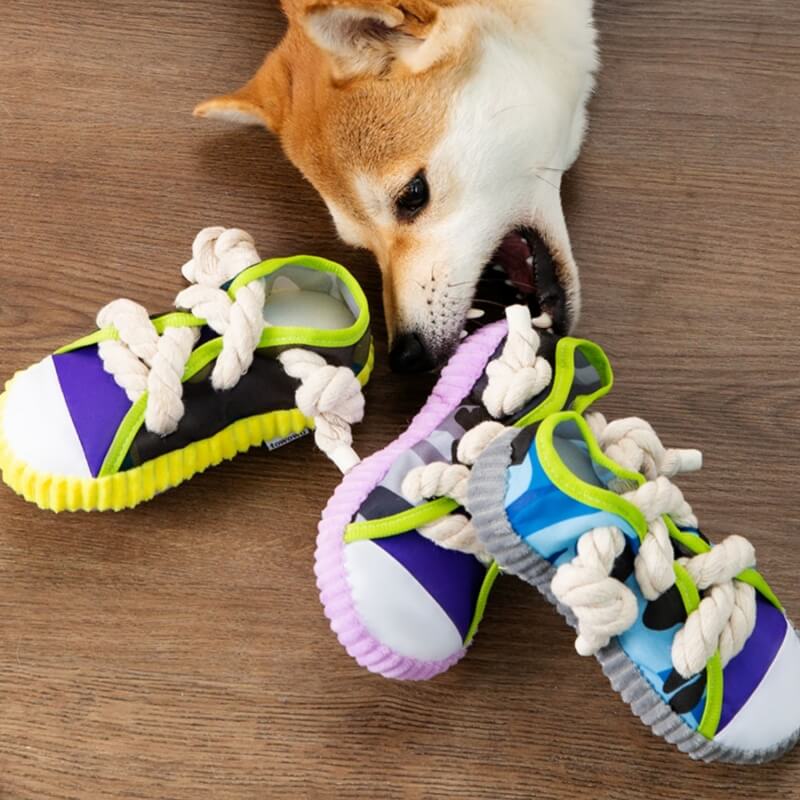 Cotton Rope Slipper Toy Dog Teething Toy - News Pet Shop