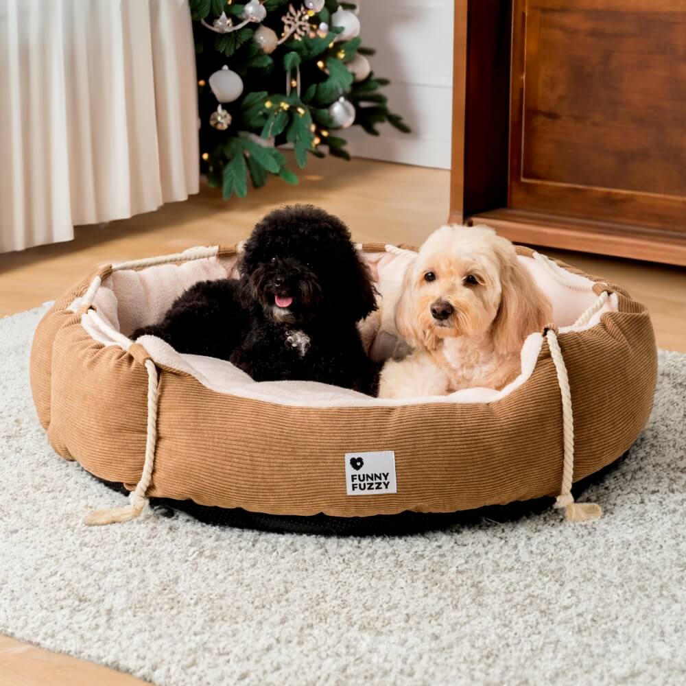 Playful Pull Rope Pet Bed Adjustable Chew-Resistant Dog & Cat Bed - News Pet Shop