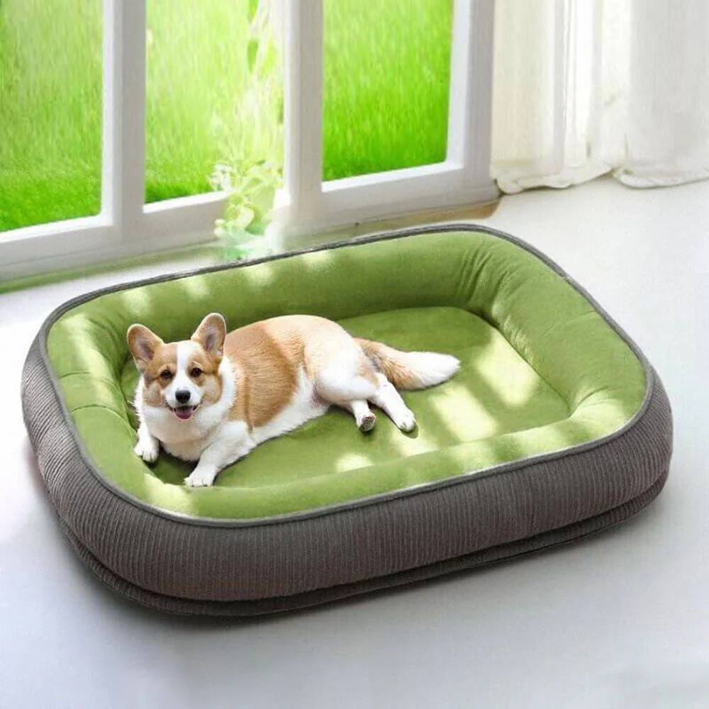 Durable Scratch-Resistant Suede Surface Dog Bed - News Pet Shop