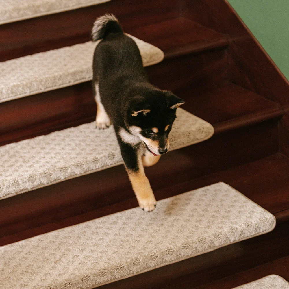 Soft Plush Indoor Stair Protectors Pet Friendly Tape Free Carpet Stair Treads - News Pet Shop