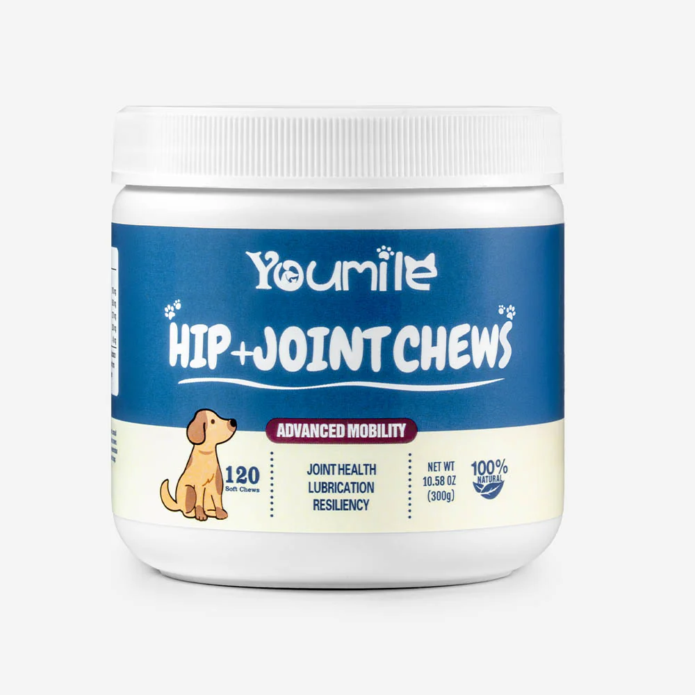 Hip & Joint Supplement Dog Chews (120 Count) | Mobility Support Supplement for Healthy Joints - News Pet Shop