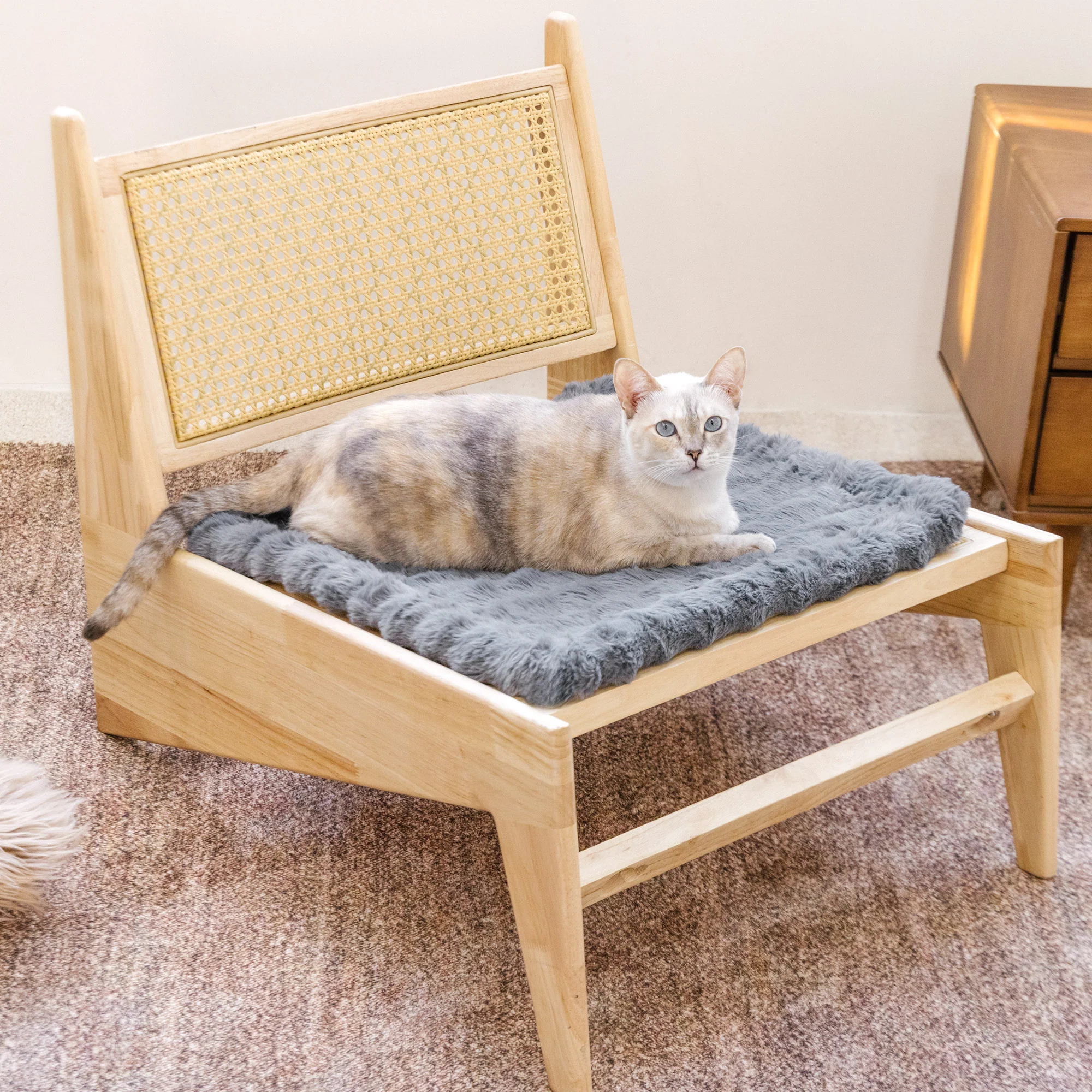 Fluffy Plush Faux Fur Warm Pet Mat Non-slip Couch Cover - News Pet Shop