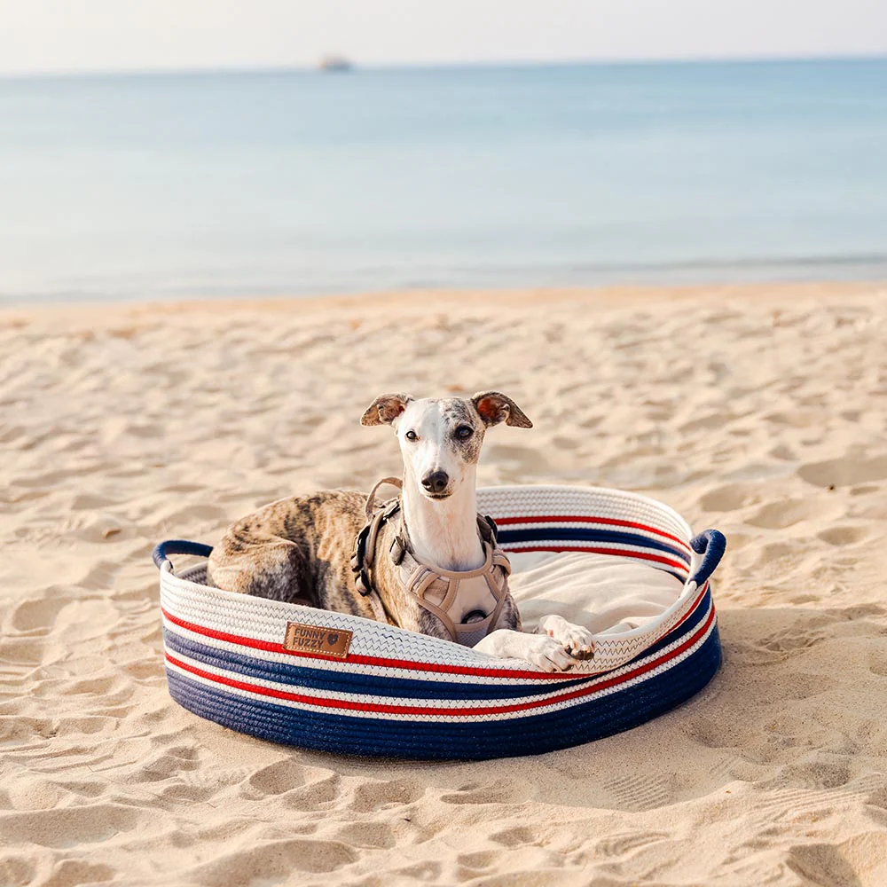 Handcrafted Stripe Calming Pet Bed - Timeless Nest - News Pet Shop