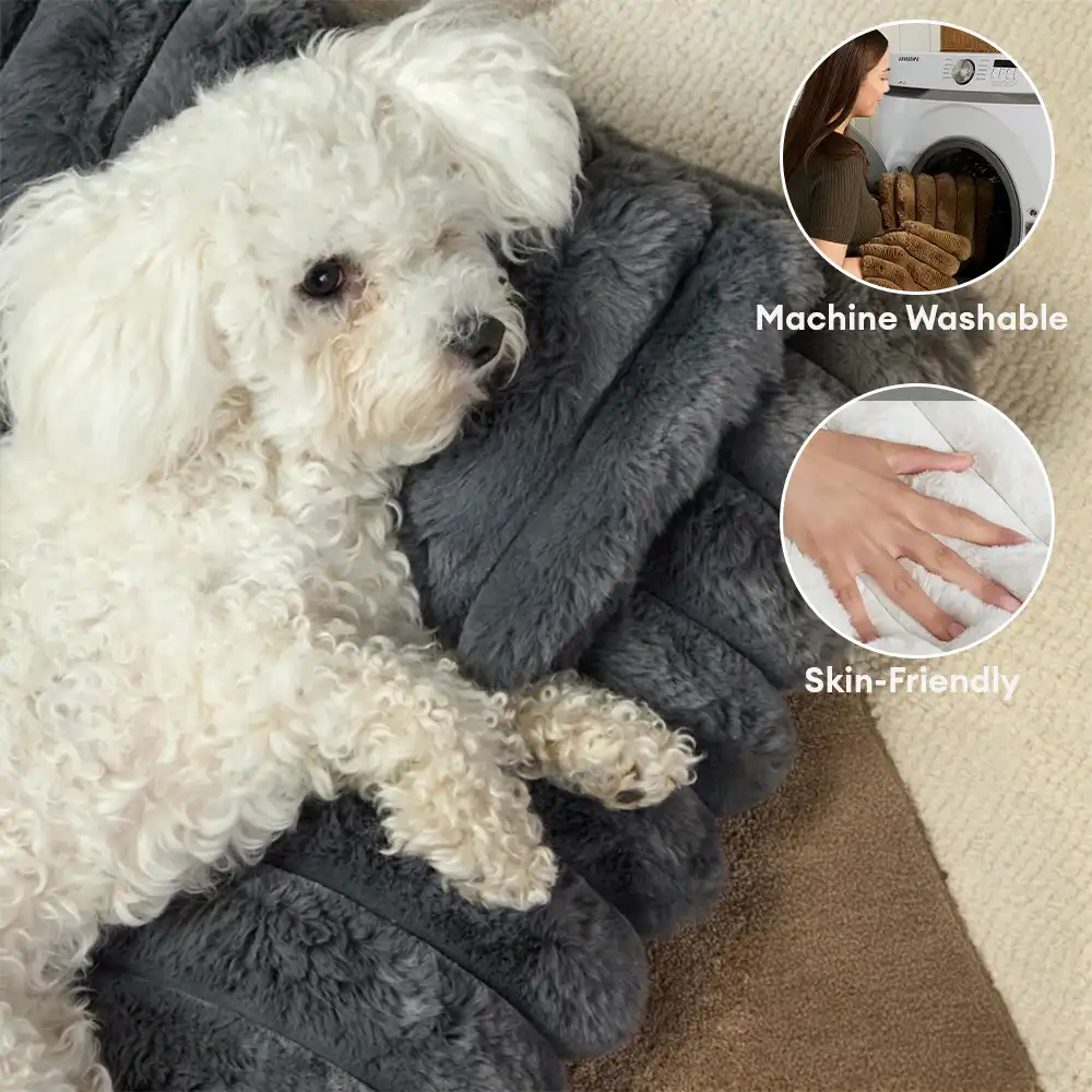 Plush Fluffy Thick Comfort Calming Dog Bed with Pillow - News Pet Shop