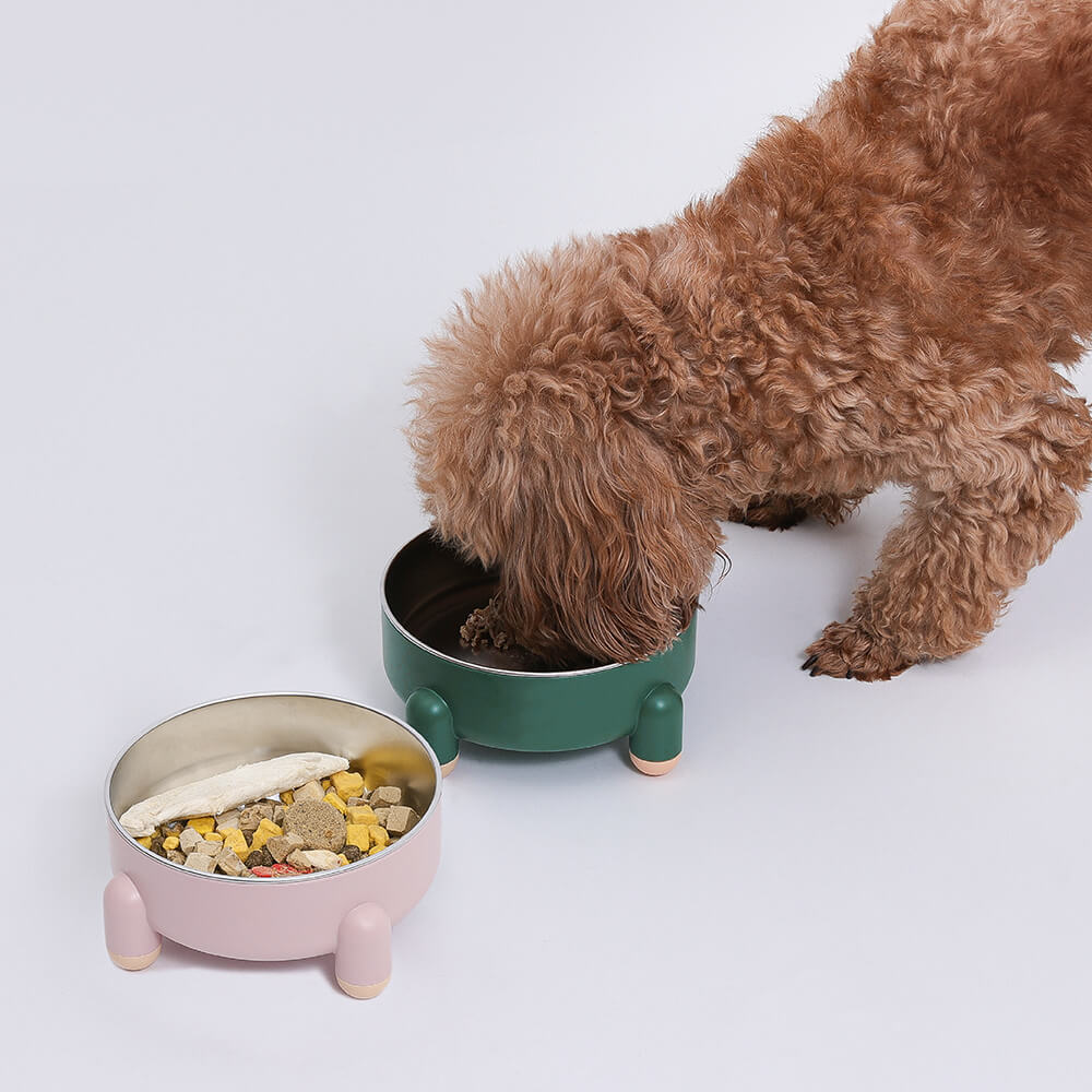Dog Bowl - Tetrapod - News Pet Shop