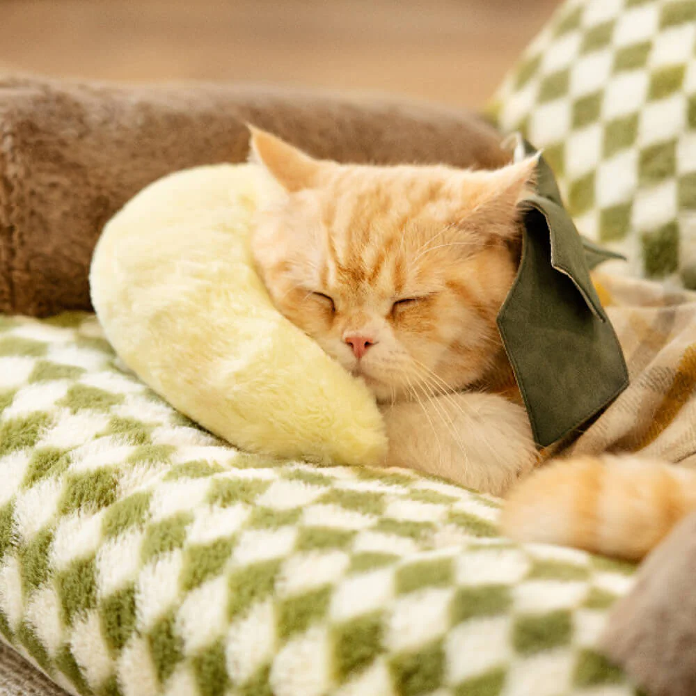Fashion Cute Cozy Pet Pillow - News Pet Shop
