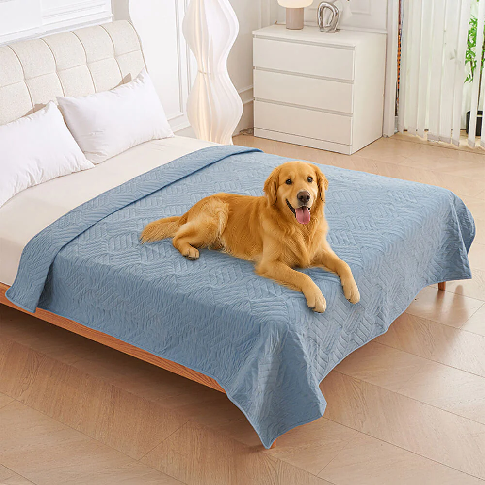 Multifunctional Water-resistant Urine Proof & Washable Pet Blanket Bed Cover - News Pet Shop