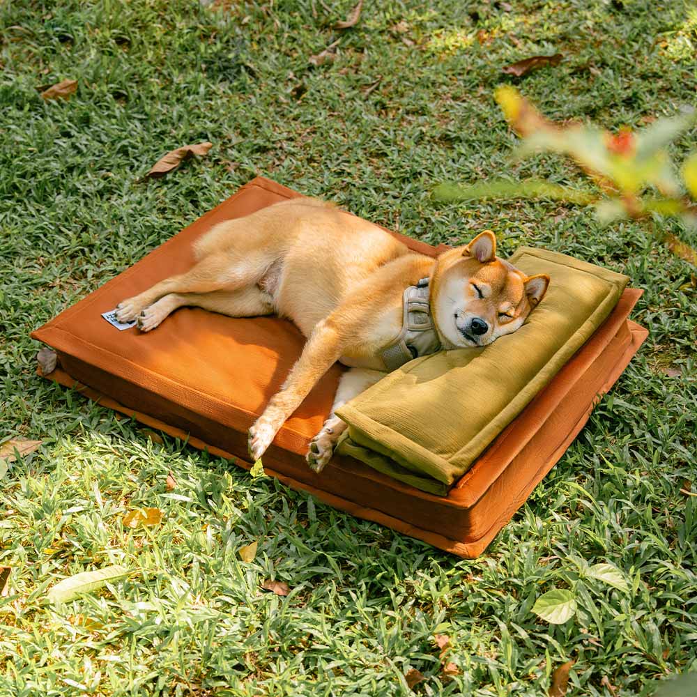 Anti-Anxiety with Sponge Support Deep Sleeping Dog Bed - News Pet Shop