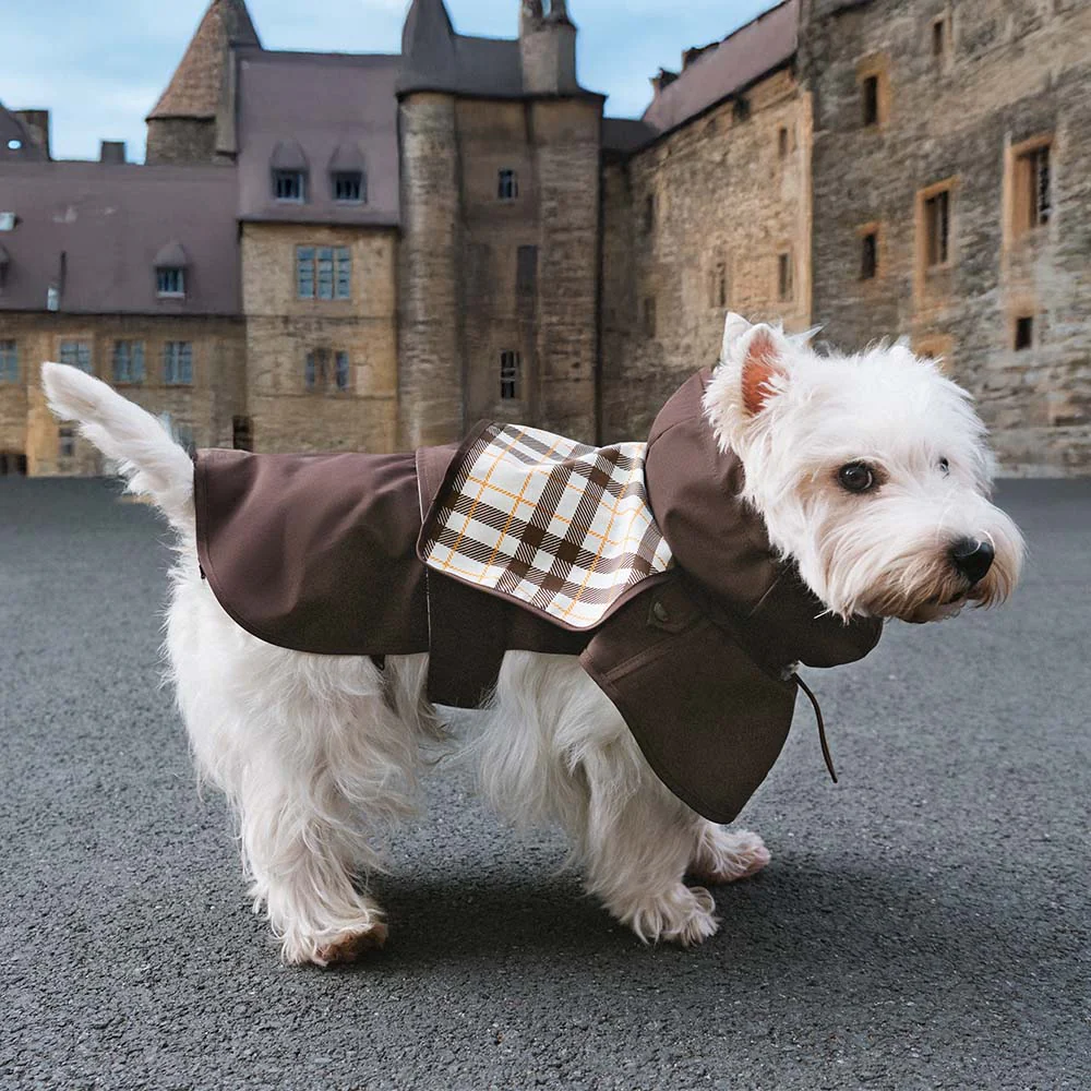 Waterproof Vintage Plaid Adjustable Dog Raincoat - All-Weather Protection - News Pet Shop