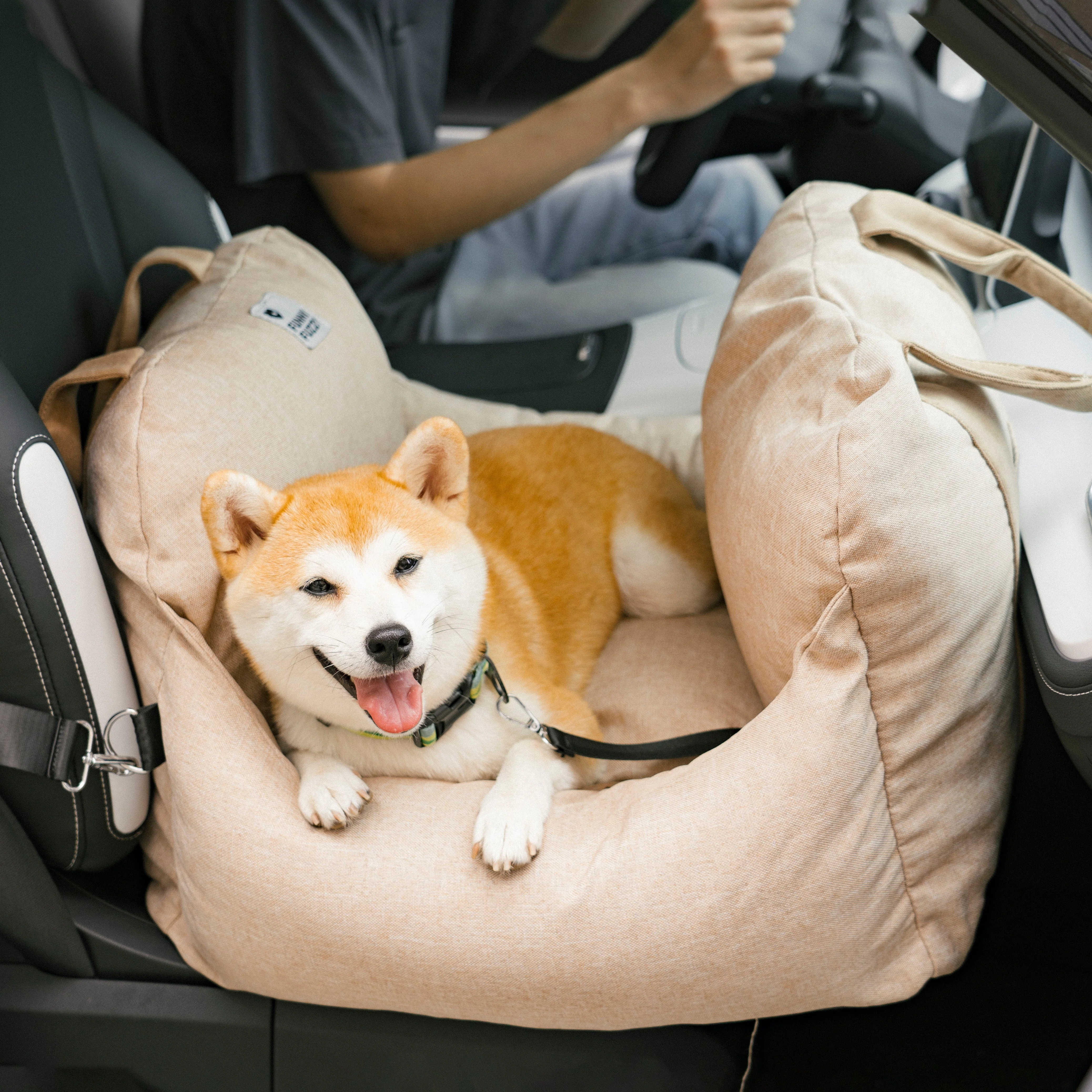 Travel Safety Puppy Dog Car Seat Bed - First Class - News Pet Shop