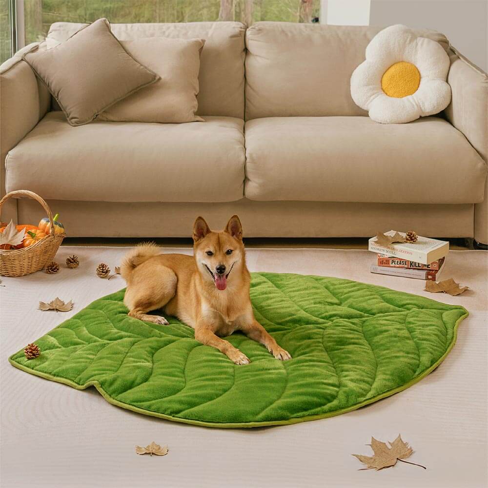 Plush Leaf-Shaped Washable Dog Mat-The Leaf Collector - News Pet Shop