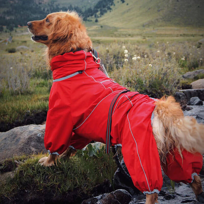 Large Dog Outdoor Jacket Waterproof Adjustable Dog Rain Coat - News Pet Shop