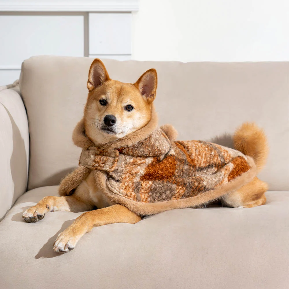 Classic Plaid Warmth Human & Dog Poncho - Festive Companions - News Pet Shop