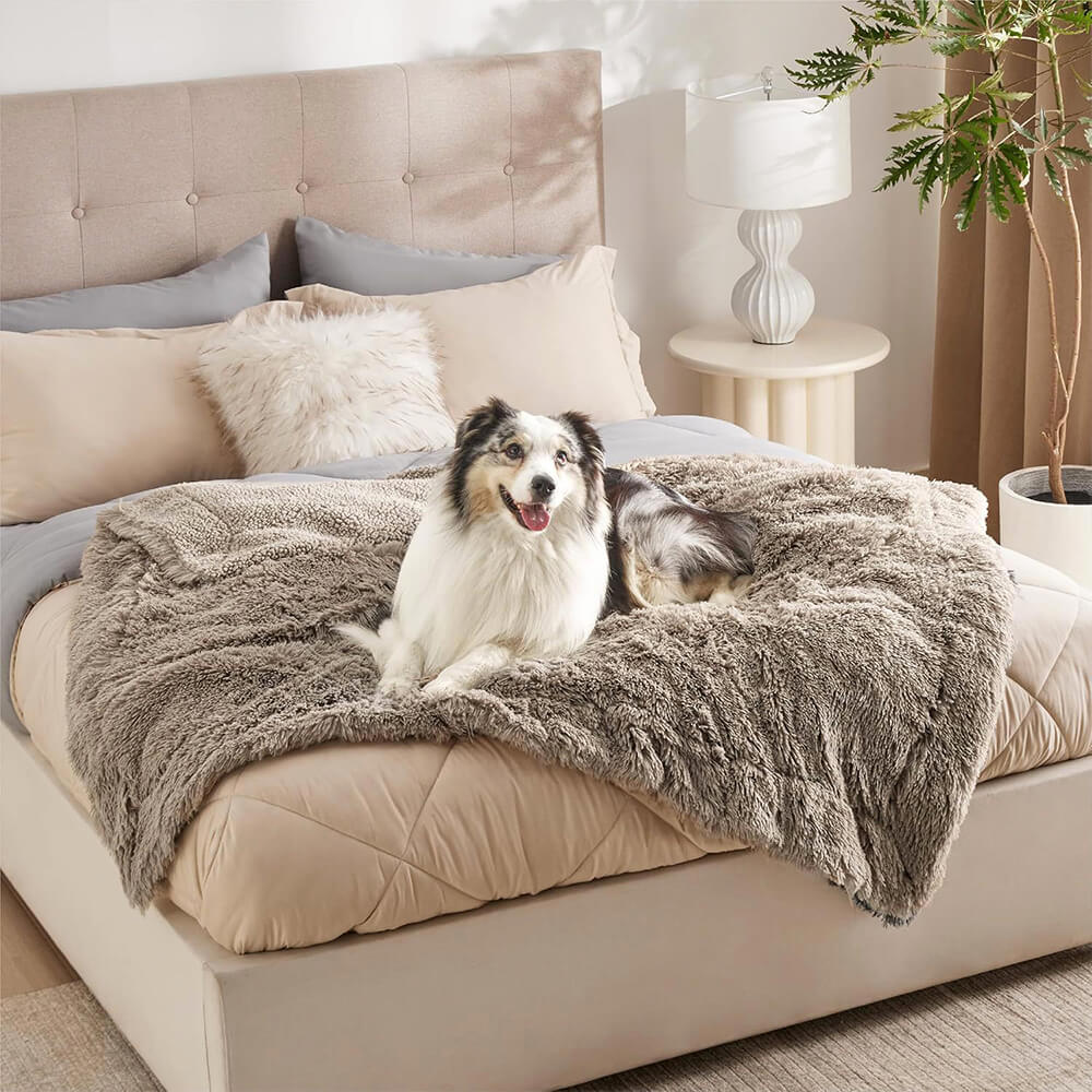 Luxurious Waterproof Plush Warm Multi-Purpose Home Dog Blanket - News Pet Shop