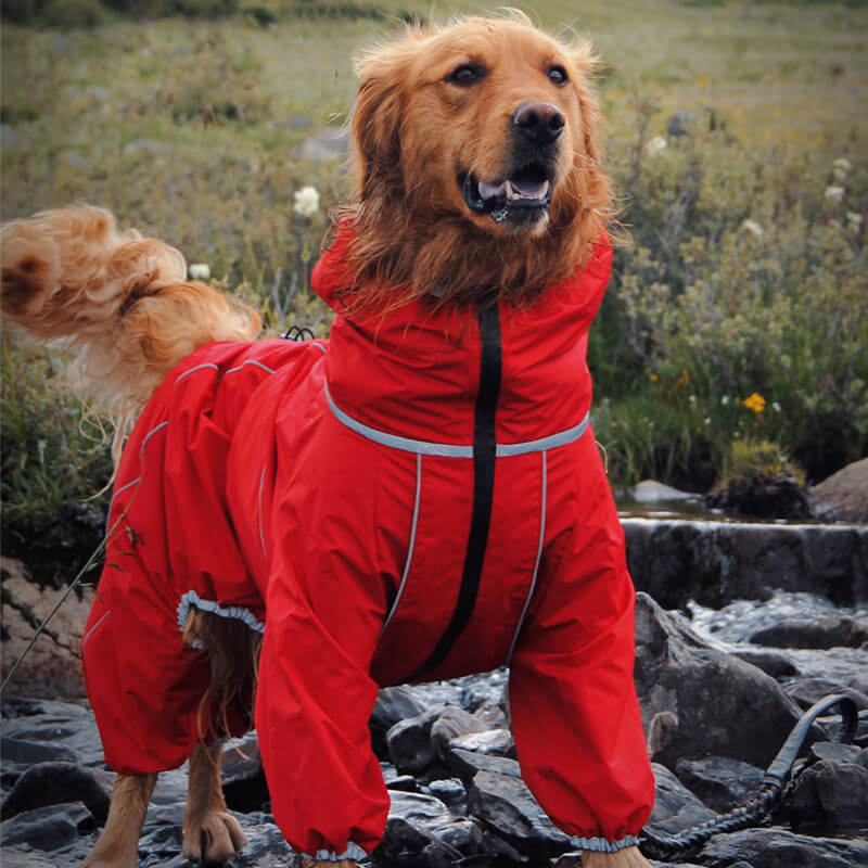 Large Dog Outdoor Jacket Waterproof Adjustable Dog Rain Coat - News Pet Shop