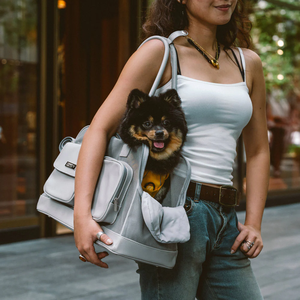 Lightweight Breathable Mesh Safe Pet Carrier - Urban Ease - News Pet Shop