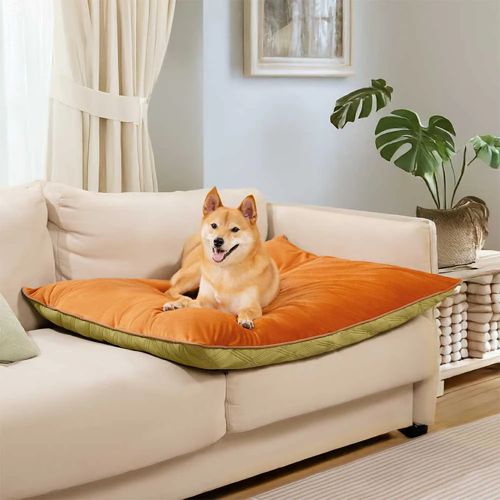 Luxury Water-repellent Dual-Sided Calming Dog Mat - News Pet Shop