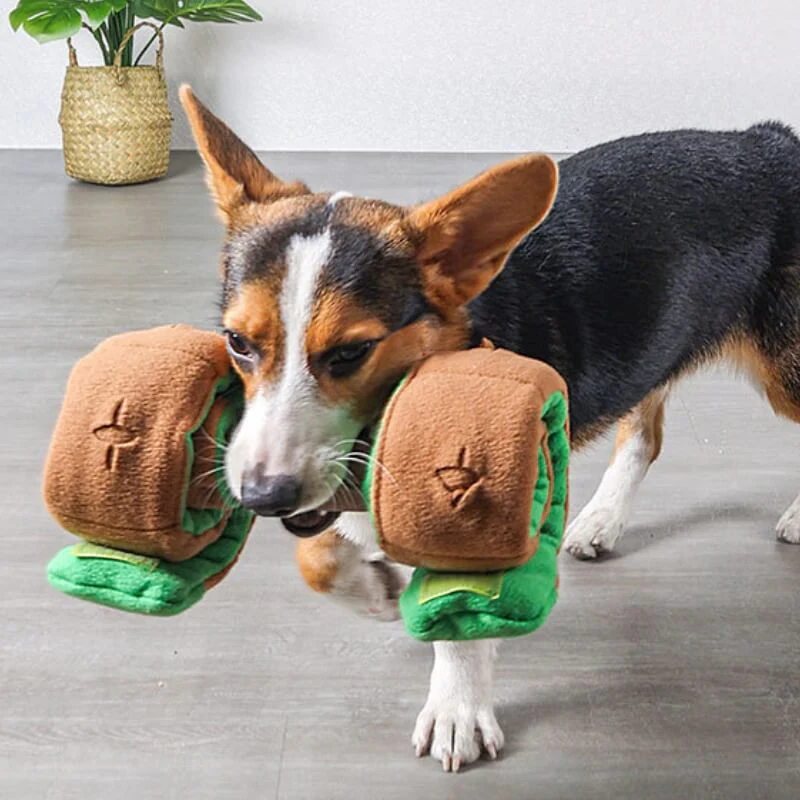Puzzle Food Dispenser Interactive Dog Dumbbell Treat Toy - News Pet Shop