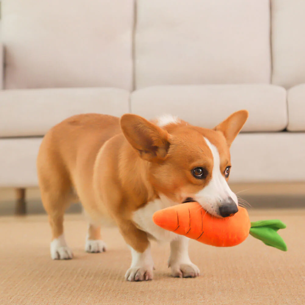 Carrot Squeaky Plush Toy Dog Interactive Toy - News Pet Shop