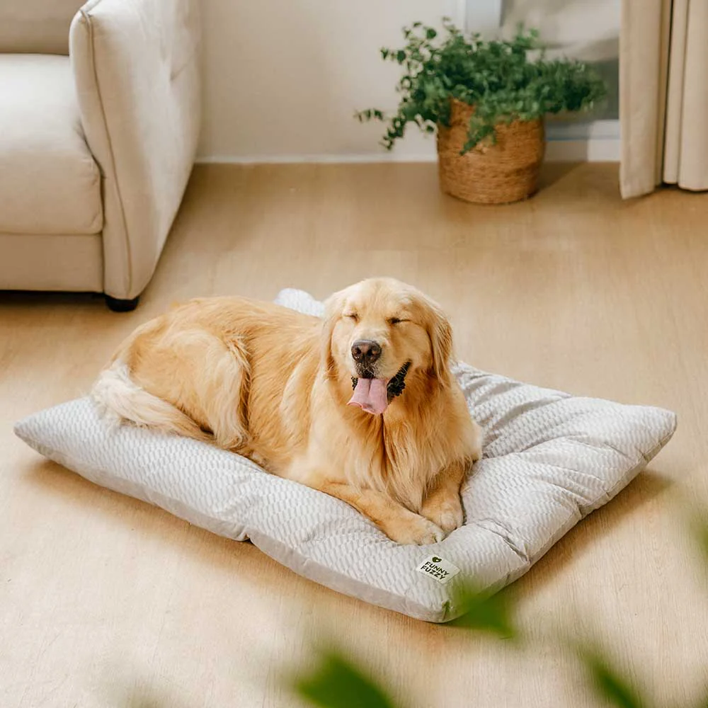 Dual-Sided Cozy Plush Calming Washable Dog Mats - News Pet Shop