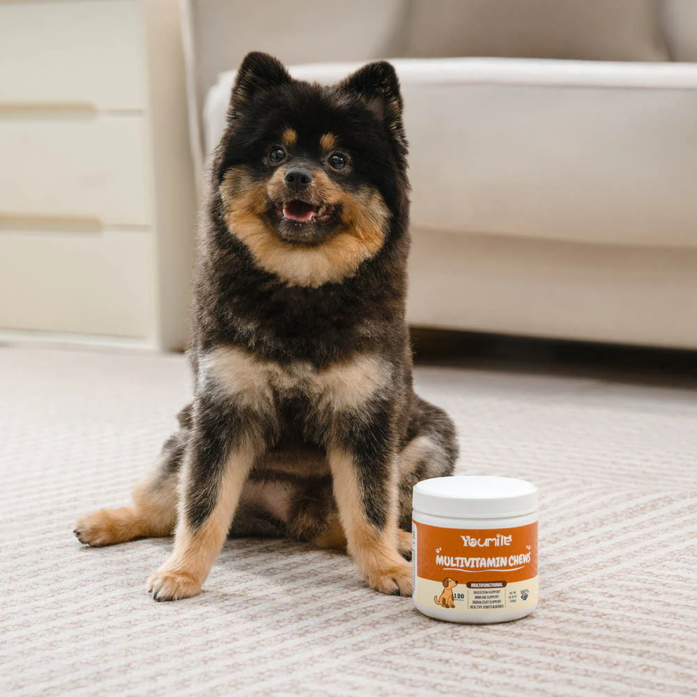 Dog Multivitamin Treats for Immune Health and Skin & Coat Support - 120 Count - News Pet Shop