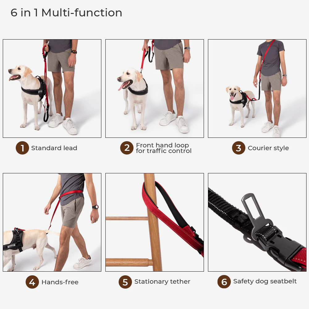 Multifunction Hands Free Dog Leash With Safety Seat Belt - News Pet Shop