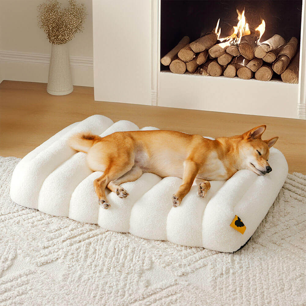 Large Washable Creamy Cozy Flat Dog Beds - Cheesecake - News Pet Shop
