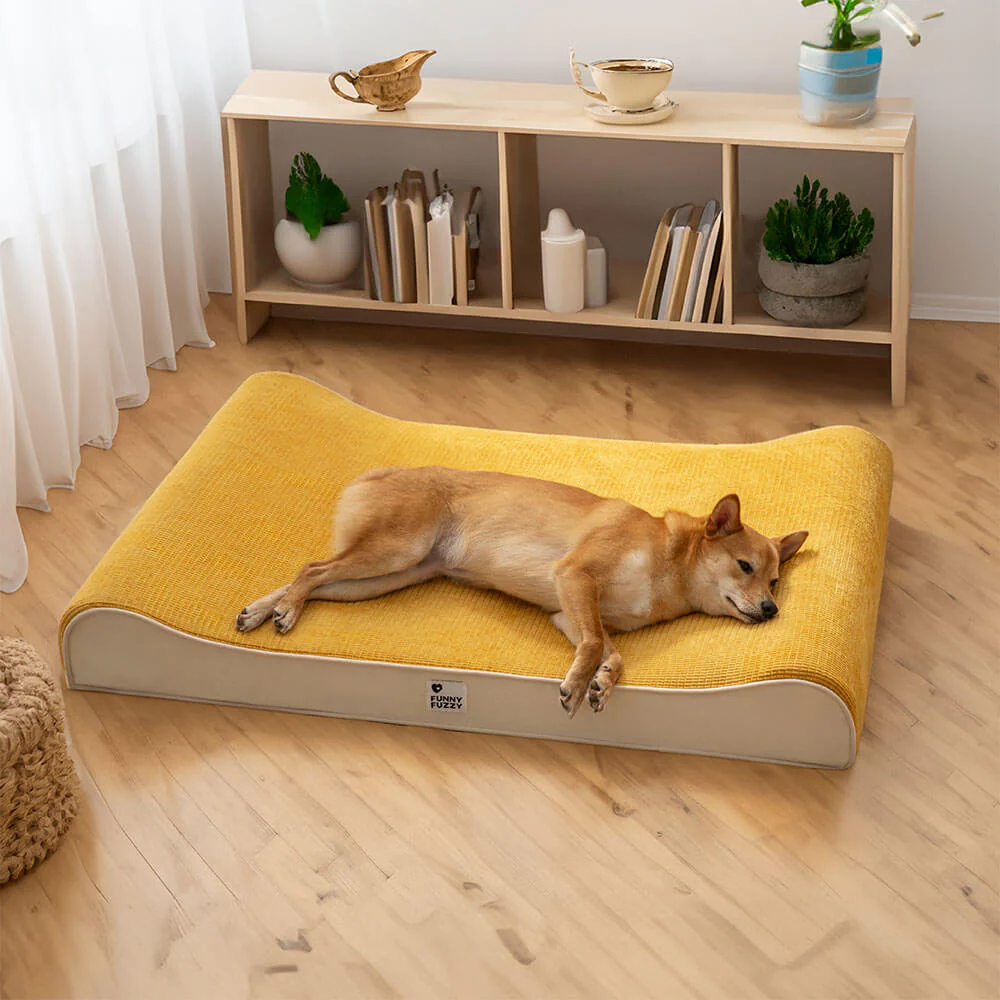 Luxurious Nobility Dog Lounge Chair Orthopedic Dog Bed - News Pet Shop