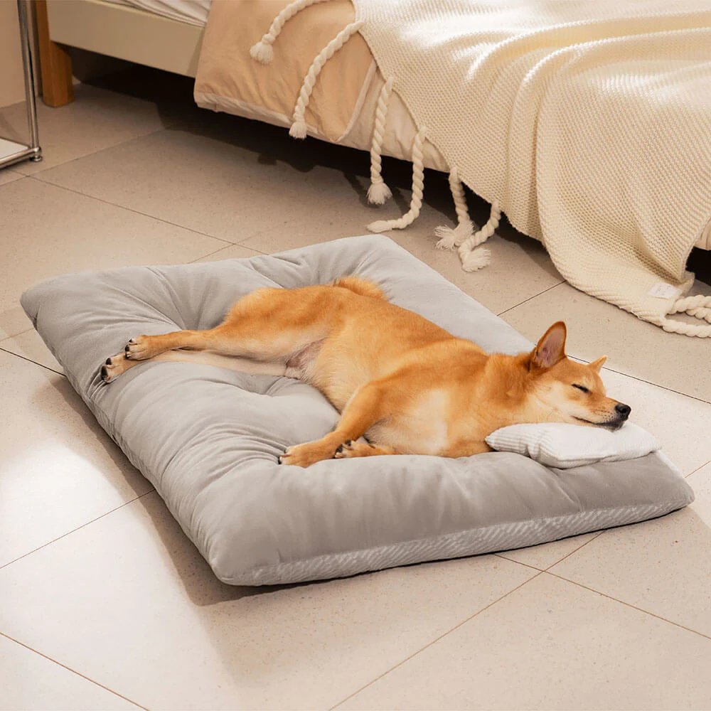 Dual-Sided Cozy Plush Washable Calming Dog Mat - News Pet Shop