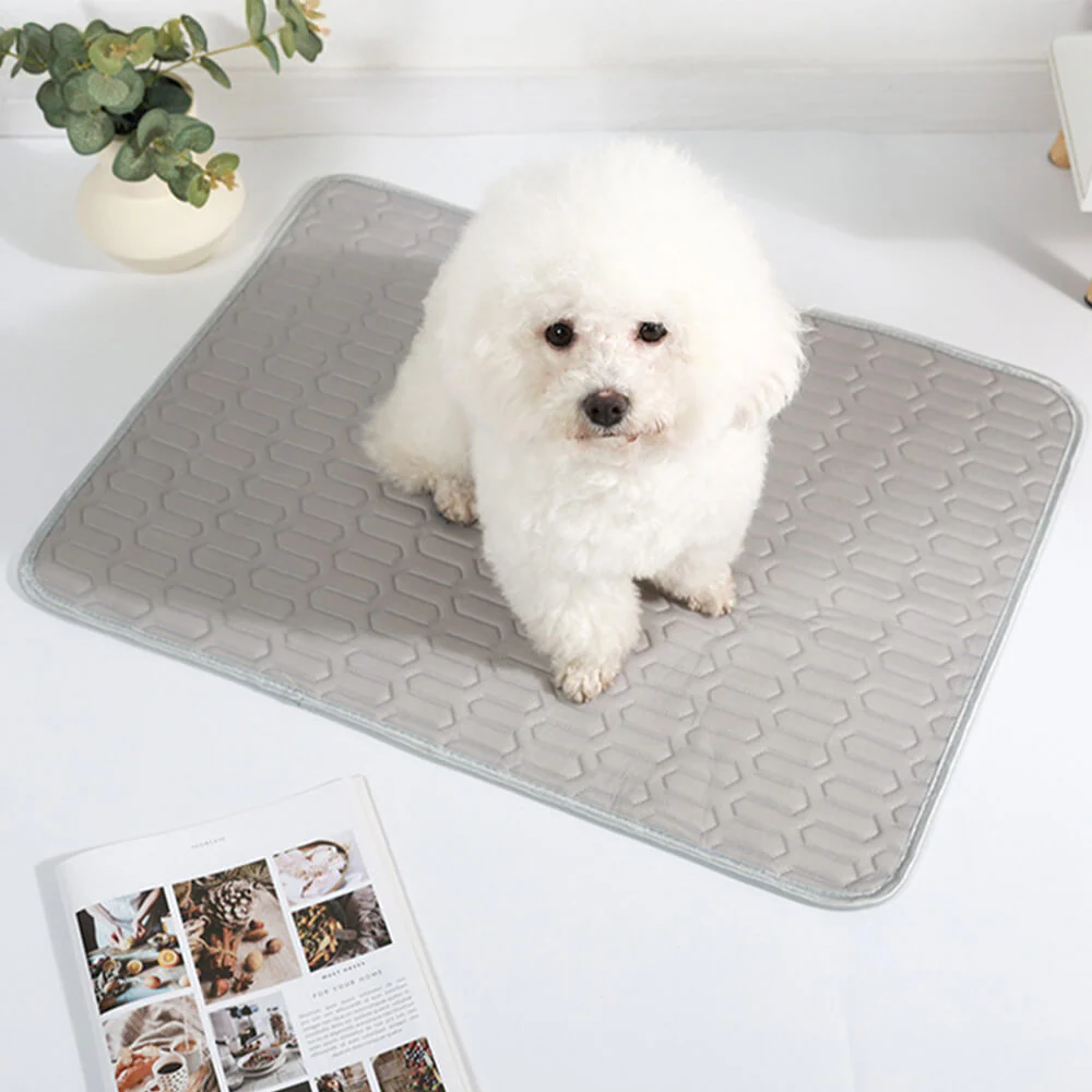 Cooling Washable Non-Slip Breathable Ice Silk Dog & Cat Mat - News Pet Shop