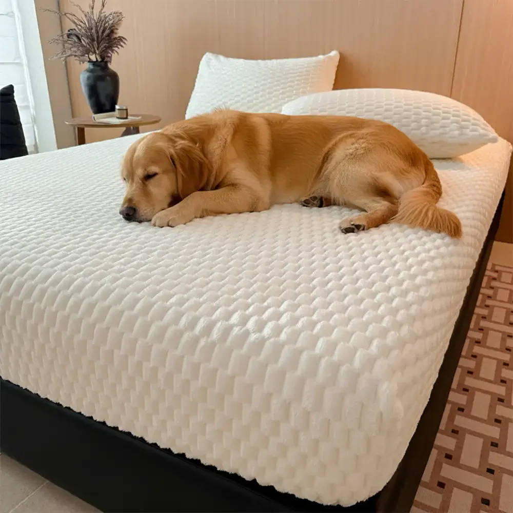 Soft Plush Skin-Friendly Mattress Protector Bedding Fitted Sheet Set - News Pet Shop