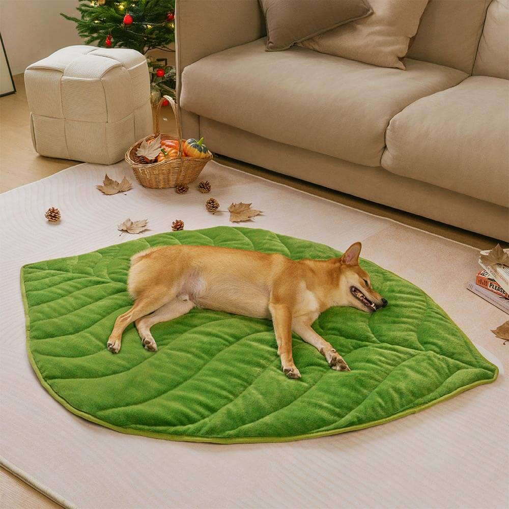 Plush Leaf-Shaped Washable Dog Mat-The Leaf Collector - News Pet Shop