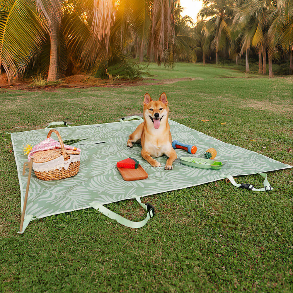 Tropical Style - Waterproof Picnic & Car Dual-Use Back Seat Cover - News Pet Shop