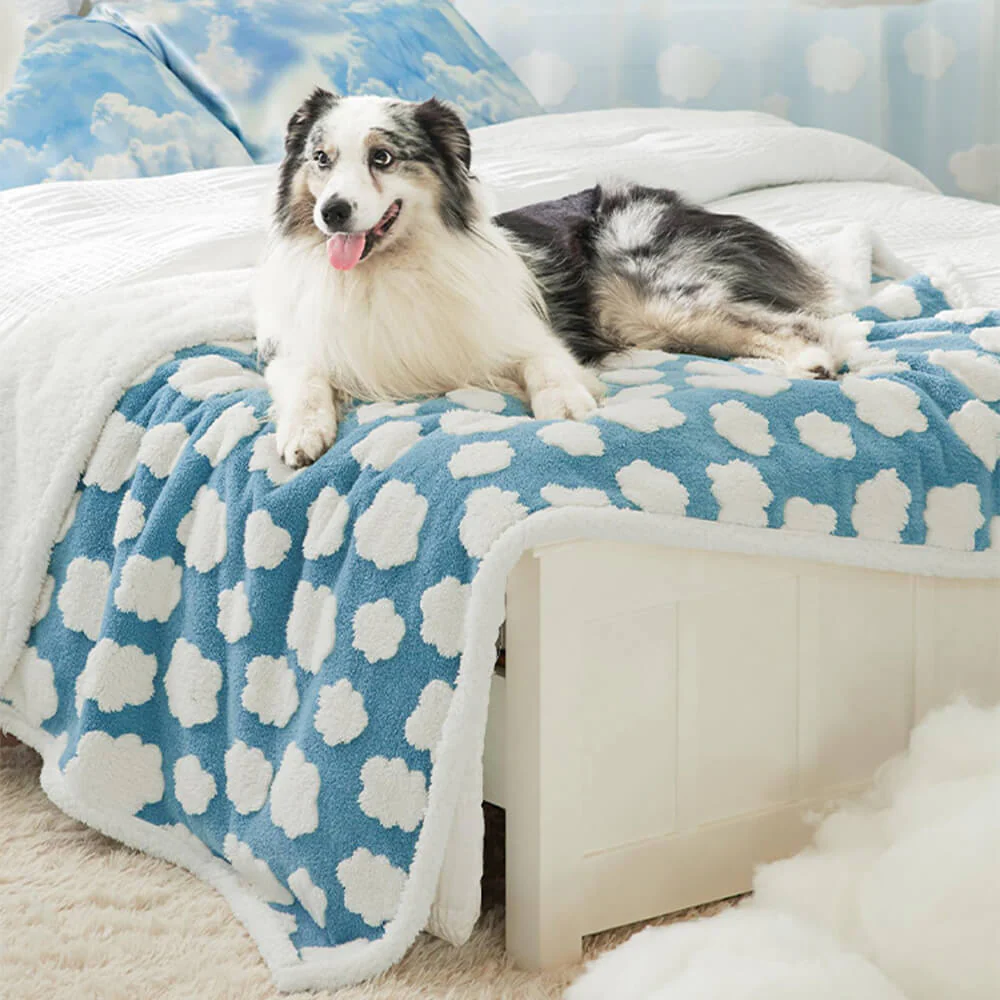 Cloud Flocked Waterproof Multi-Functional Sherpa Dog Blanket - News Pet Shop