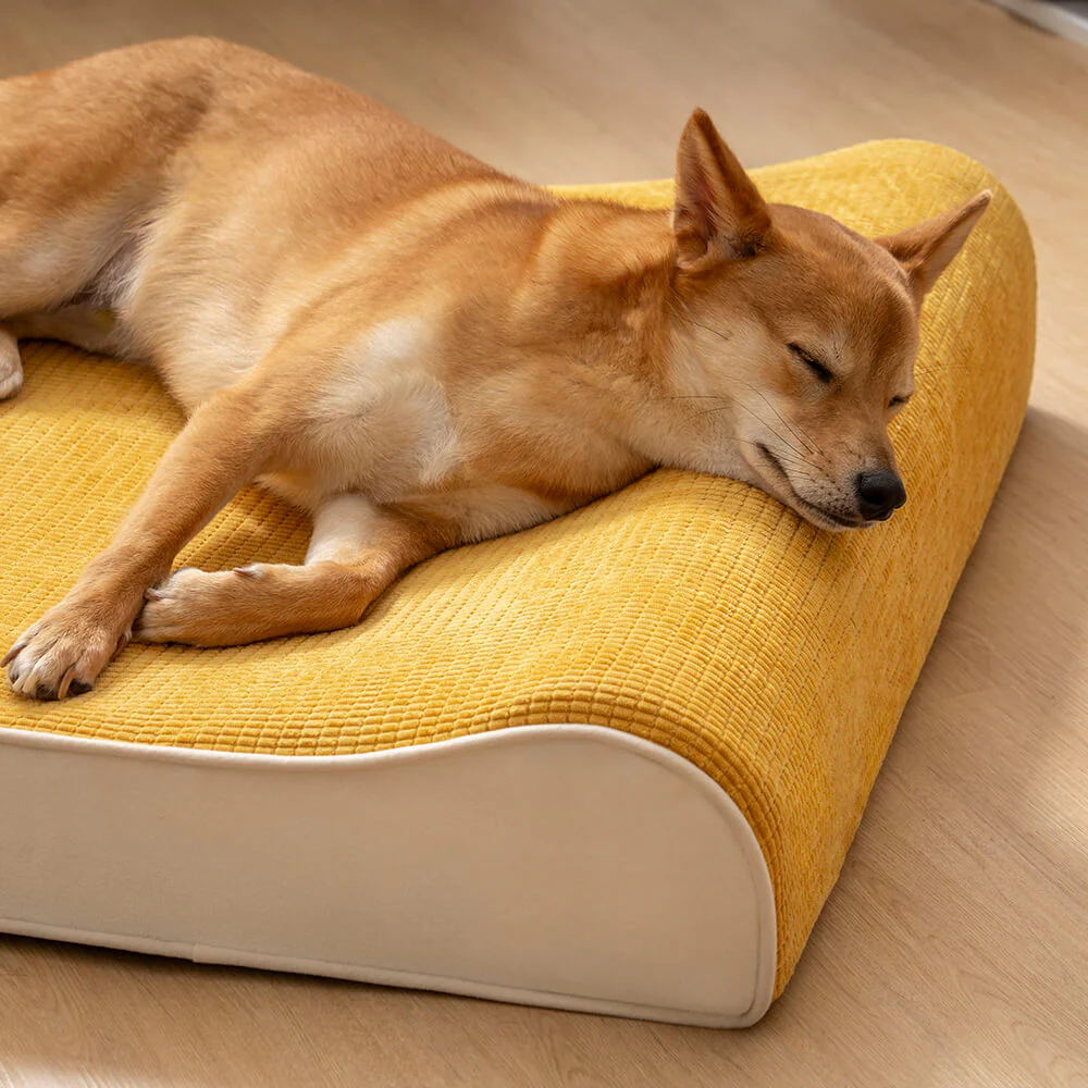 Luxurious Nobility Dog Lounge Chair Orthopedic Dog Bed - News Pet Shop