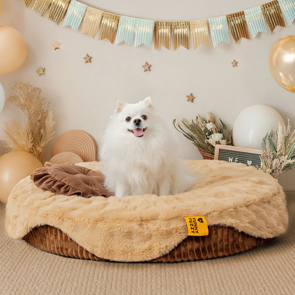 Fluffy Cake-Shaped Detachable Plush Orthopedic Pet Bed  C DreamBake - News Pet Shop