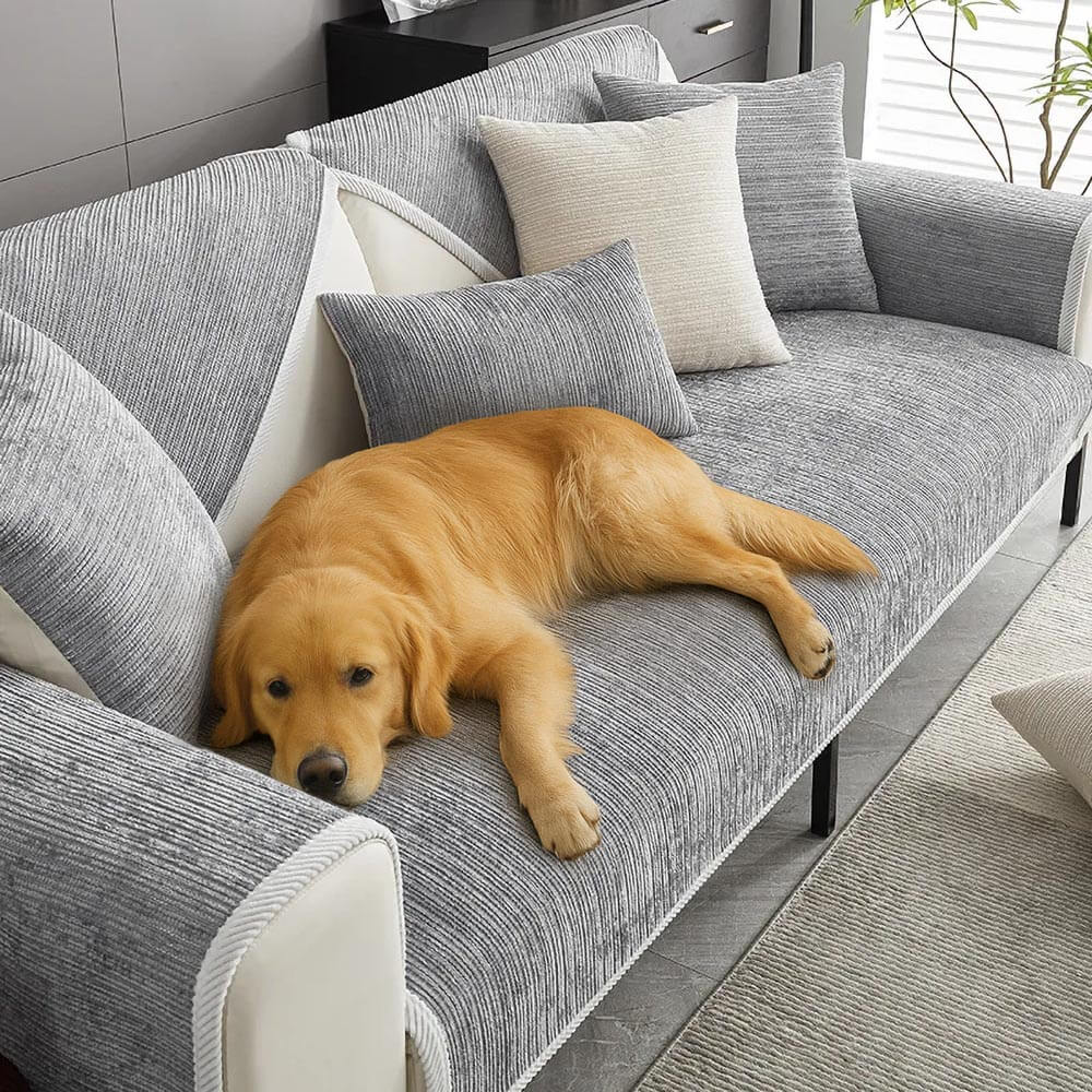 Waterproof Antimicrobial Simple Chenille Fabric Anti-scratch Couch Covers - News Pet Shop