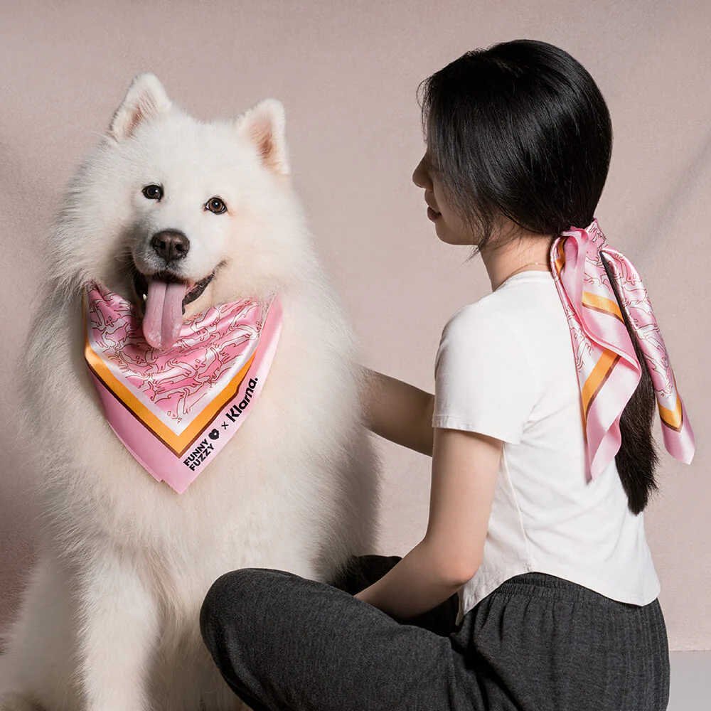 FUNNYFUZZY X Klarna Pet & Human Scarf - News Pet Shop