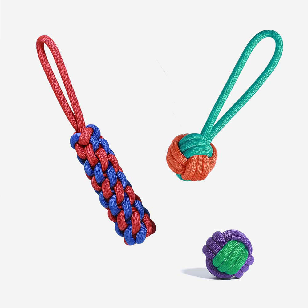 Knots Rope Dog Toy Set - Color Clash - News Pet Shop