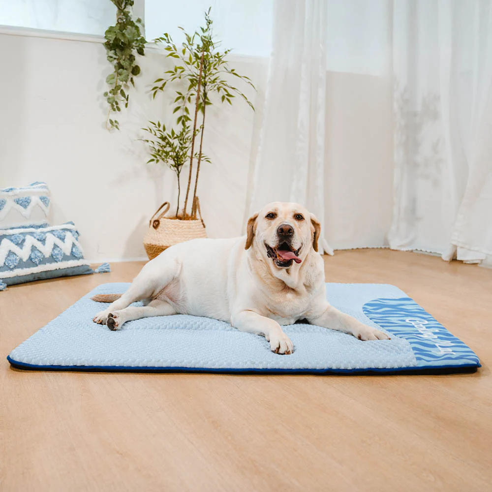 Large Washable Cooling Non-slip Dog Mat - Cooling Nap - News Pet Shop