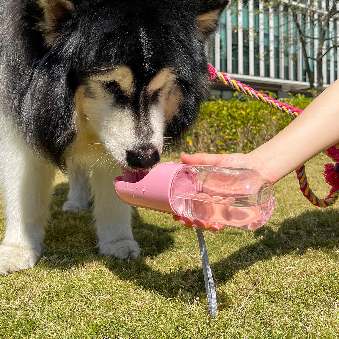 Portable Outdoor Dog Water Bottle - News Pet Shop
