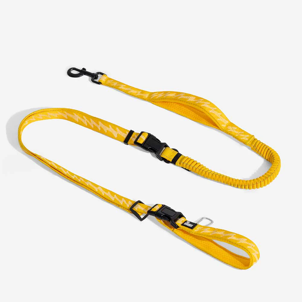 Dual-sided Reflective Adjustable Versatile Soft Handle Nylon Large Dog Leashes - Flexi Walker - News Pet Shop