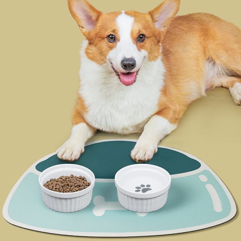 Quick-Dry Absorbent Non-Slip Pet Feeding Mat - News Pet Shop
