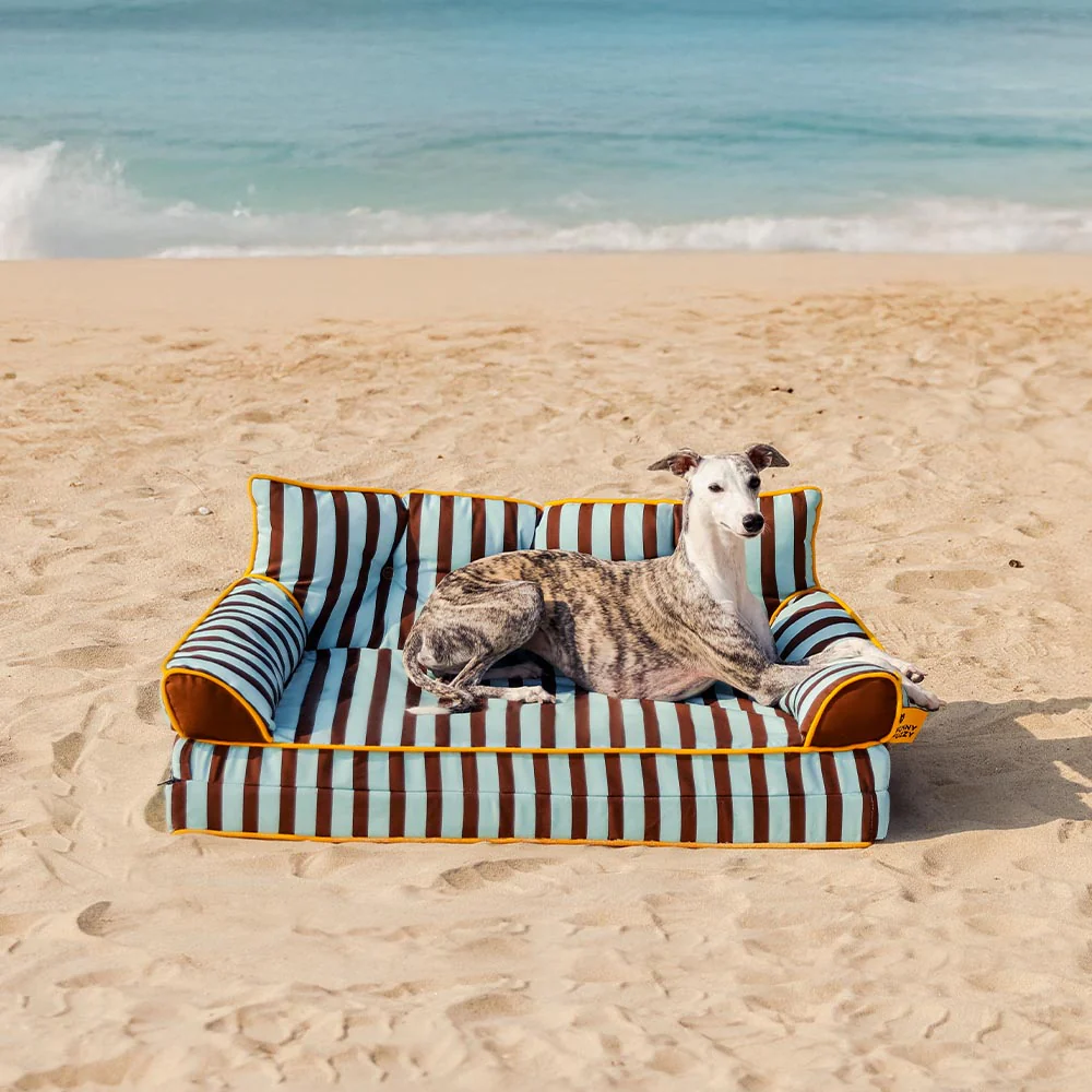 Stripe Waterproof Foldable Large Dog Sofa Bed - Sunny Siesta - News Pet Shop